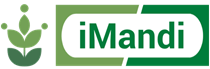 imandi